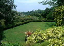 Brief Garden in Bentota
