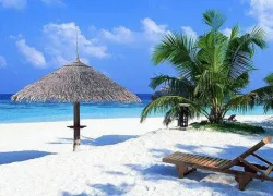 Negombo Beach in Negombo