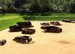 Ibbankatuwa Megalithic Tombs in Dambulla