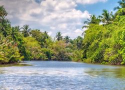 Maha Oya River in Pinnawala