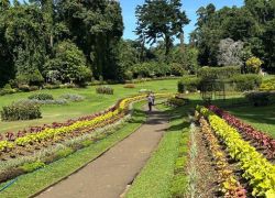 Royal Botanical Gardens in Pinnawala