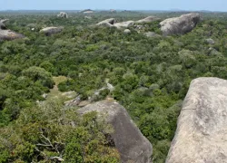 Kumana National Park in Batticaloa