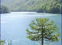 Huerquehue National Park in Araucania