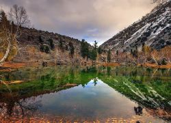 Naltar Valley in Gilgit
