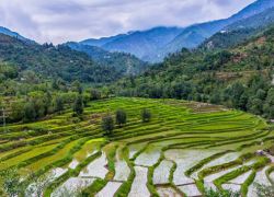 Jambil Valley in Mingora