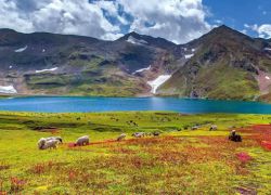 Deosai National Park in Skardu