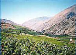 Elqui River Valley in Coquimbo