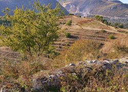 Kongresi i Pogradecit in Pogradec