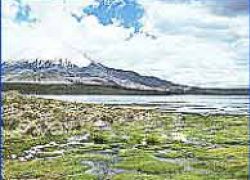 Chungara Lake in Arica