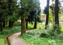 Himalayan Zoological park Zoo in Gangtok