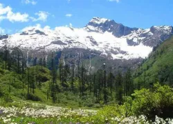 Dri Valley in Dibang