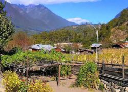Dong Valley in Lohit