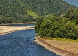 Kekar Monying in Siang