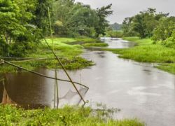 Hatigarh Hill in Jorhat