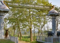 Kaziranga National Park