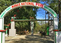 Manas National Park in Morigaon