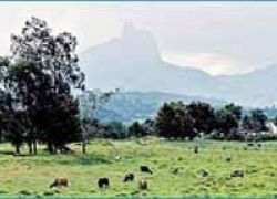 Pico do Frade in Rio De Janeiro