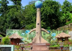 Forest Museum in Andaman Nicobar Islands