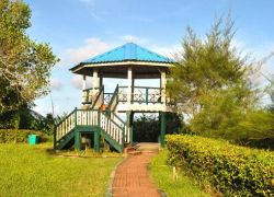 Mount Manipur National Park in Andaman Nicobar Islands