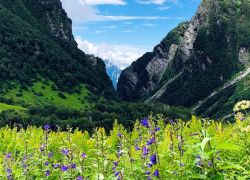Nanda Devi National Park in Auli