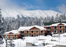 Kwani Bugyal in Auli