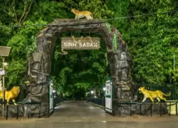 Devalia Safari Park in Gir Somnath