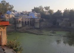 Baag Wala Talab in Rewari