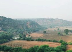 The Leopard Trail in Manesar Village