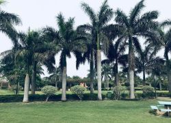 OP Jindal Park in Yamuna Nagar