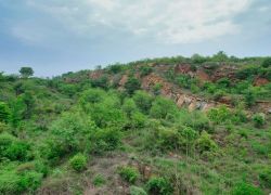 Aravalli Biodiversity Park in Gurgaon