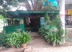 Baba Bhanja Peer in Panchkula