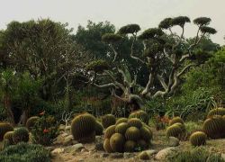 Cactus Garden in Panchkula