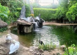 Bir Shikargah Wildlife Sanctuary in Pinjore
