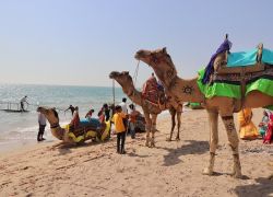 Mandvi Beach