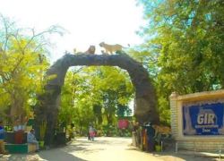 Devalia Safari Park in Sasan