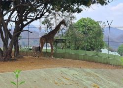 Sardar Patel Zoological Park in Kevadia