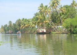 Kuttanad Backwaters in Kerala