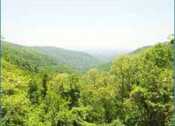 Blood Mountain in Georgia