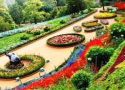 Chandigarh Rose Garden in Chandigarh