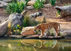 Sundarban National Park