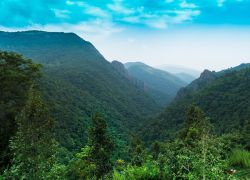 Daringbadi