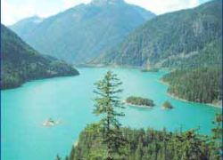 Davis Peak(Longview) in Texas