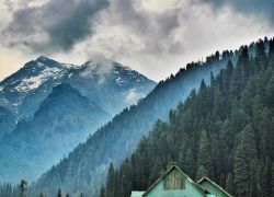National Research Centre On Yak in Dirang