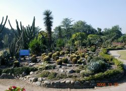 Botanical Garden in Chandigarh