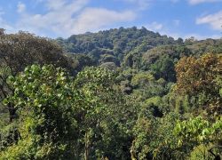 Kibira National Park in Muramvya