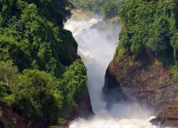 Murchison Falls National Park in Masindi