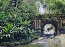 Tijuca National Park in Rio De Janeiro