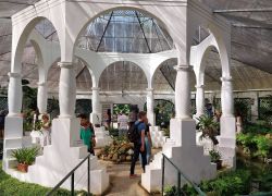 Jardim Botanico in Rio De Janeiro