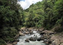 Rao Platano Biosphere Reserve in La Mosquitia