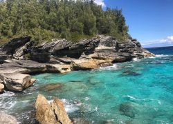 Spittal Pond Nature Reserve in Hamilton Bermuda